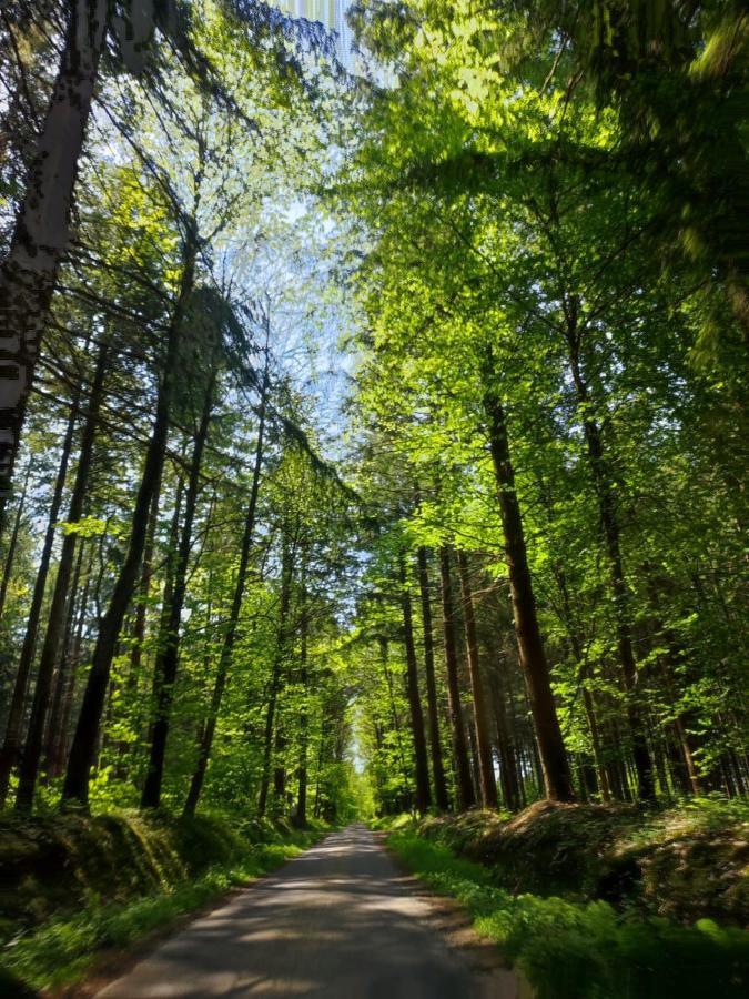 Gite Les Tongs Des Pres, Au Coeur Du Parc Normandie Maine Livaie Ngoại thất bức ảnh